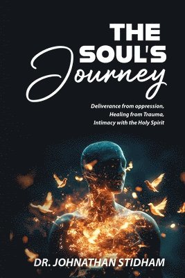 bokomslag Soul's Journey