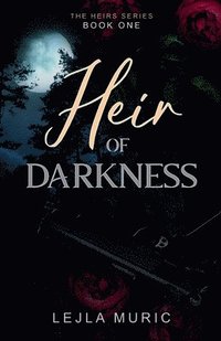 bokomslag Heir of Darkness