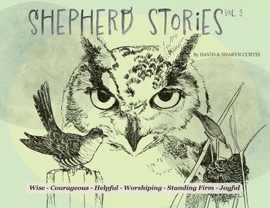 David Curtis, Sharyn Curtis - Shepherd Stories Volume 3, Häftad