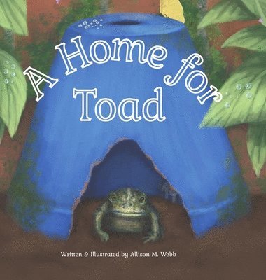 bokomslag Home for Toad