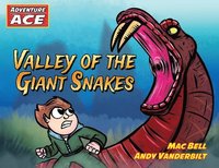 bokomslag Adventure Ace