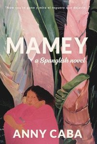 bokomslag Mamey: a Spanglish novel