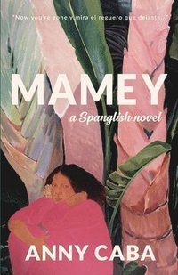bokomslag Mamey: a Spanglish Novel