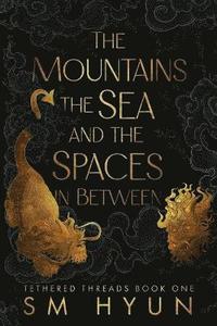 bokomslag Mountains, the Sea, and the Spaces in Between