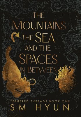 bokomslag Mountains, the Sea, and the Spaces in Between