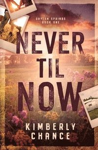 bokomslag Never til Now