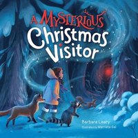 bokomslag Mysterious Christmas Visitor