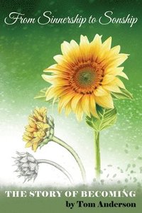 bokomslag From Sinnership to Sonship