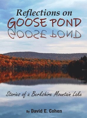 bokomslag Reflections on Goose Pond