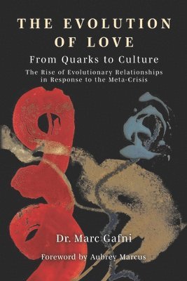 bokomslag Evolution of Love from Quarks to Culture