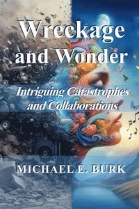 bokomslag Wreckage and Wonder