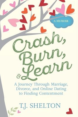 bokomslag Crash, Burn, and Learn