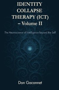 bokomslag Identity Collapse Therapy - Volume II