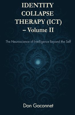 bokomslag Identity Collapse Therapy - Volume II