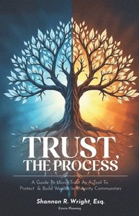 bokomslag Trust, The Process
