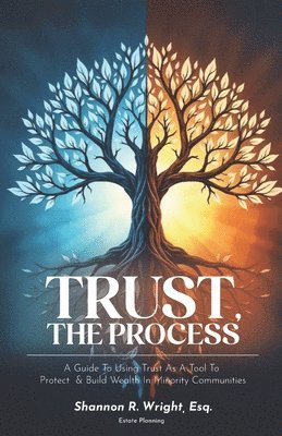 bokomslag Trust, The Process