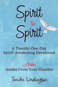 bokomslag Spirit to Spirit