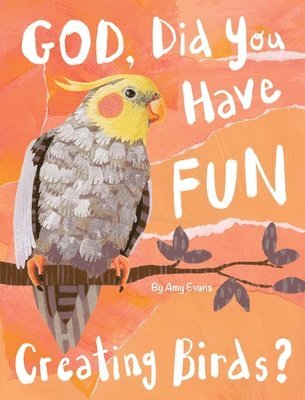 God, Did You Have Fun Creating Birds?