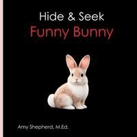 M Ed Amy Shepherd, Rachel Worden - Hide & Seek Funny Bunny, Häftad