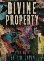 Tim Gavin - Divine Property, Häftad