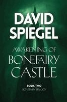David Spiegel - Awakening of Bonefairy Castle, Häftad