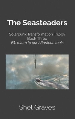 bokomslag Seasteaders