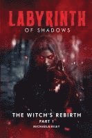 bokomslag Labyrinth of Shadows