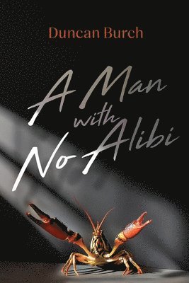 bokomslag A Man with No Alibi