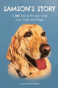 bokomslag Samson's Story