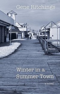 bokomslag Winter in a Summer Town