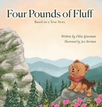bokomslag Four Pounds of Fluff: Based on a True Story in the Blue Ridge Mountains