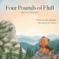 bokomslag Four Pounds of Fluff