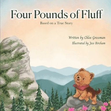 bokomslag Four Pounds of Fluff