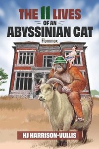 bokomslag The 11 Lives of an Abyssinian Cat: Flummox