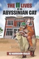 bokomslag The 11 Lives of an Abyssinian Cat: Flummox
