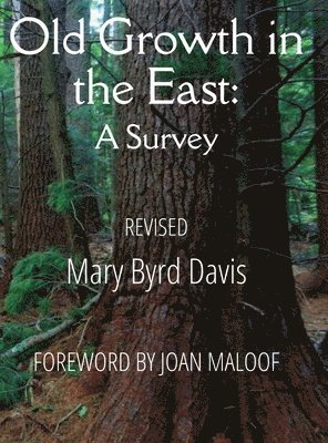 bokomslag Old Growth in the East