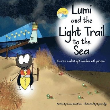 bokomslag Lumi and the Light Trail to the Sea