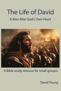 bokomslag Life of David