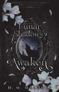 bokomslag Lunar Shadows