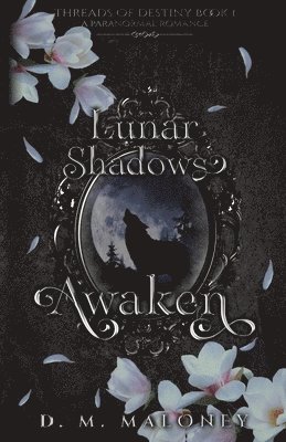 bokomslag Lunar Shadows