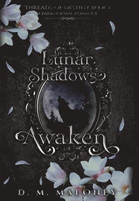 bokomslag Lunar Shadows