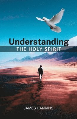 bokomslag Understanding the Holy Spirit
