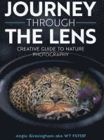 Journey Through The Lens