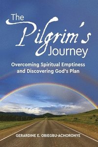 bokomslag Pilgrim's Journey