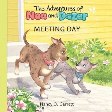 bokomslag Adventures of Nea and Dozer - Meeting Day