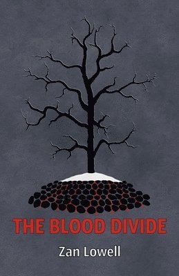 bokomslag Blood Divide