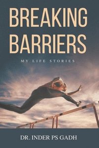 bokomslag Breaking Barriers