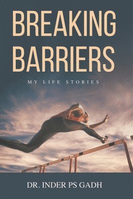 bokomslag Breaking Barriers
