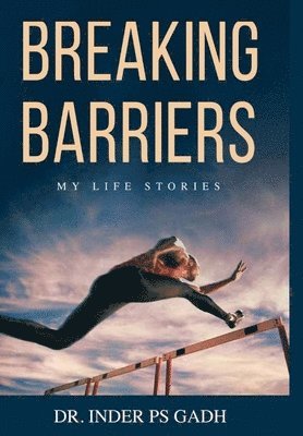 bokomslag Breaking Barriers