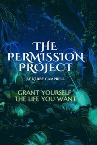 bokomslag Permission Project